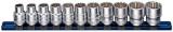 Padrun SPLINE 3/8" 14-osa