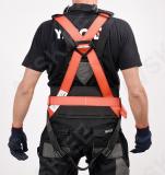 Safety Harness For Working At Height