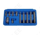 Bit Set | 10 mm (3/8") Drive | Spline (for XZN) | 11 pcs.