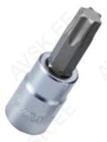 Padrun TORX 3/8" T55