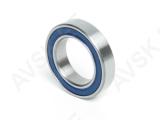 NO TUBES LAAGER 20x32x7 ESI, 6804