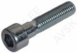 Sisekuuskantpolt osak. 10x45 mm