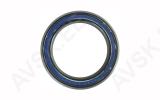 Laager Enduro Bearings ACB 6805 CC