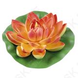 Big Orange Water Lily Ø 19 cm