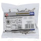 Puidukruvid 4,0x60mm 100 tk. TORX T20 peitpeaga