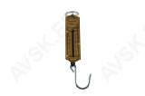 Hanging Spring Scale 12.5 kg