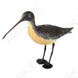 Curlew