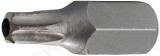10MM(3/8") OTSIK TORX AVAGA LÜHIKE TH25. S2 MAT TRIUMF