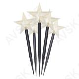 5LED GARDEN STAR 2AA WW