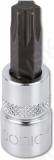 1/4" PADRUNOTSIK TORX T6 SONIC