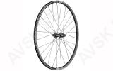 Tagaratas 29" DT Swiss XR1700 Spline