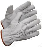 Töö- ja vabaajakindad Snowdriver 11