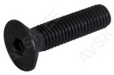 Sisekuuskantpolt 4X16 mm