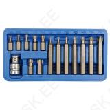Screwdriver Bit Set Torx T20-T55 15Pcs