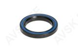 Laager Enduro Bearings ACB 68025 CC