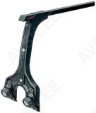 JALAPAAR (KÕRGUS 40-50CM)1 TALALE (SL)