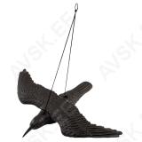 Flying Raven