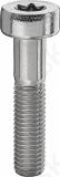 Veljepolt m8x1.25x34 f15 inox torx t40 rv-teras 10.9