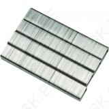 Staples 8mm (0.7X11.2) 1000Pcs