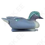 Garganey Teal