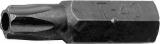 8MM(5/16") OTSIK TORX AVAGA LÜHIKE TH15 TRIUMF