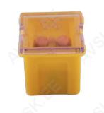 PEAKAITSE KOLLANE MADAL